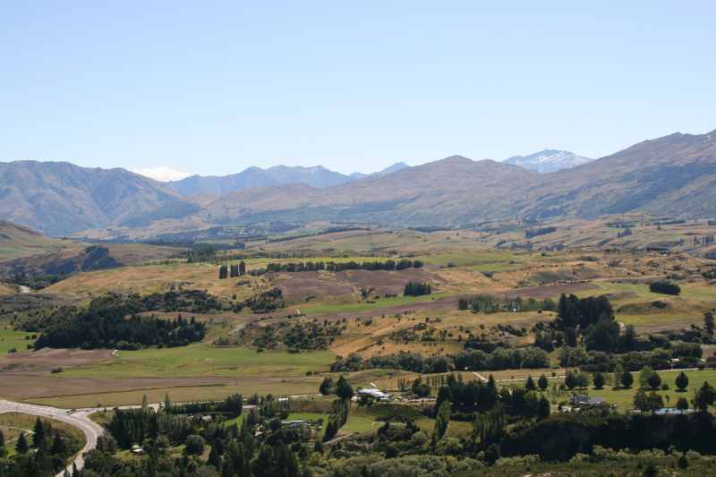 Nieuw-Zeeland 2011 - 1630